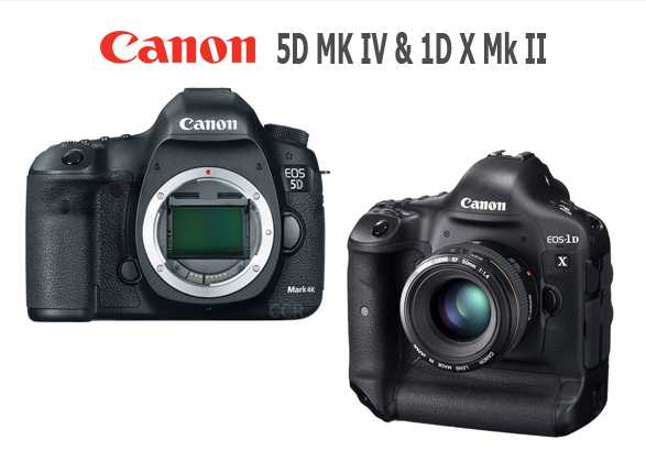 Gambar Canon 5D MK IV & 1D X Mk II Canon 5D MK IV & 1D X Mk II
