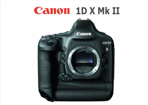Gambar Canon 1D X Mk II Canon 1D X Mk II